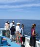 Deep Sea fishing on PEI